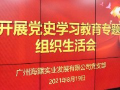 集团党支部开展党史学习教育专题组织生活会