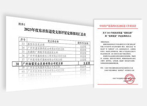 集团党支部连续三年荣获东漖街道“五星党支部”称号