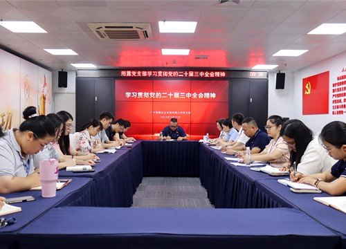 集团党支部学习贯彻党的二十届三中全会精神暨接收预备党员大会